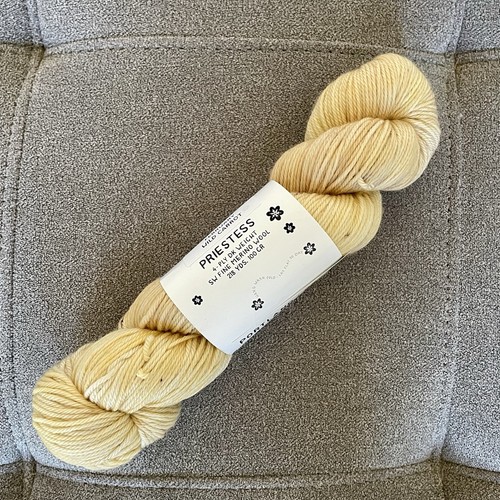 Ritual Dyes Yarn Priestess February Wild Carrot 218 Yards Hank Fine Merino Wool - Picture 2 of 5