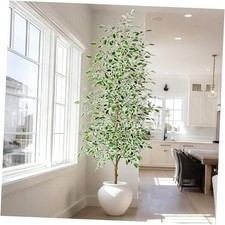 8FT Artificial Ficus Trees Indoor Faux Trees 8ft White Leaf With White Pot