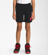 The North Face Boy's Never Stop Training Shorts Little Kids/Big Kids L - 14/16