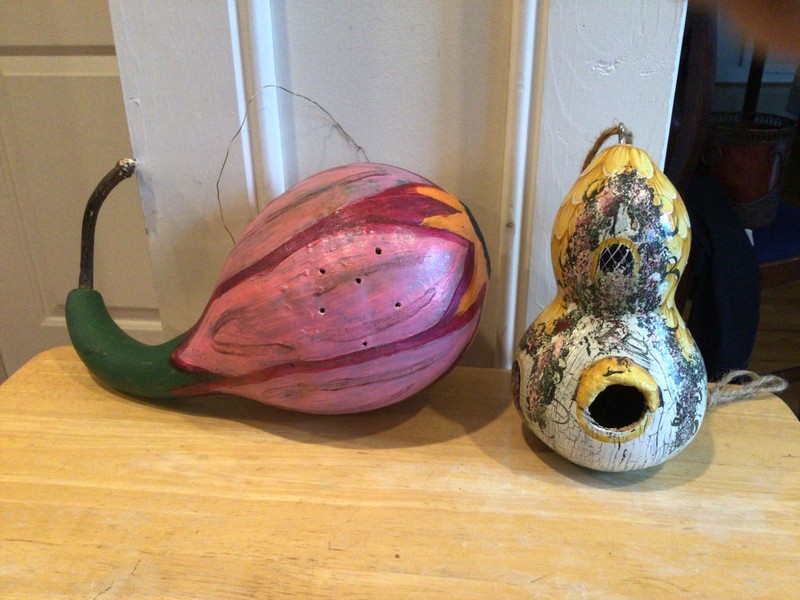 Lot 2 Hand painted Gourd Birdhouses so very cute