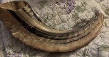 Shofar Rams Horn Jewish Holiday Rosh Hashanah New Year  