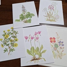 5 Plant Illustration Prints, Colorful Botanicals, Unused, 5 Sheets FFE