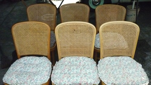 6 Bentwood Rattan Cane Dining Chairs. - Picture 5 of 13