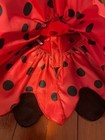 Foto 6 di 10