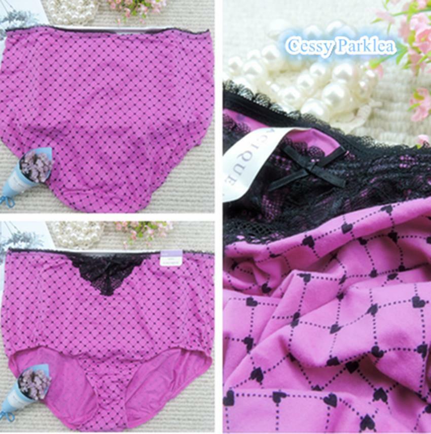 SNC31 US "CACIQUE" Plus Size Extra Soft Microfiber HighWaist Full