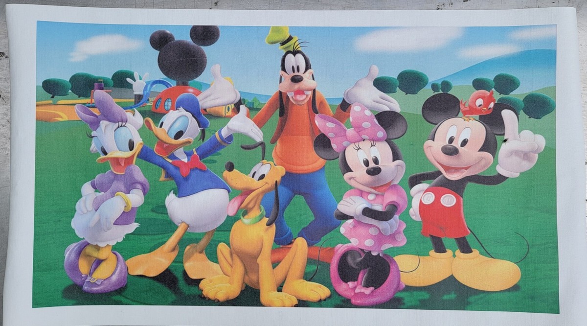 Goofy Mickey Mini Donald Daisy Pluto Canvas 16x30+ painting