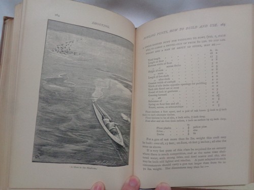 1892 Victorian Sport Shooting Field Moor & Marsh Walsingham Gallwey 2 vol Set - Picture 23 of 24