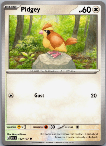 Pokemon -  162/197 - Pidgey  -  Obsidian Flames - NM/M