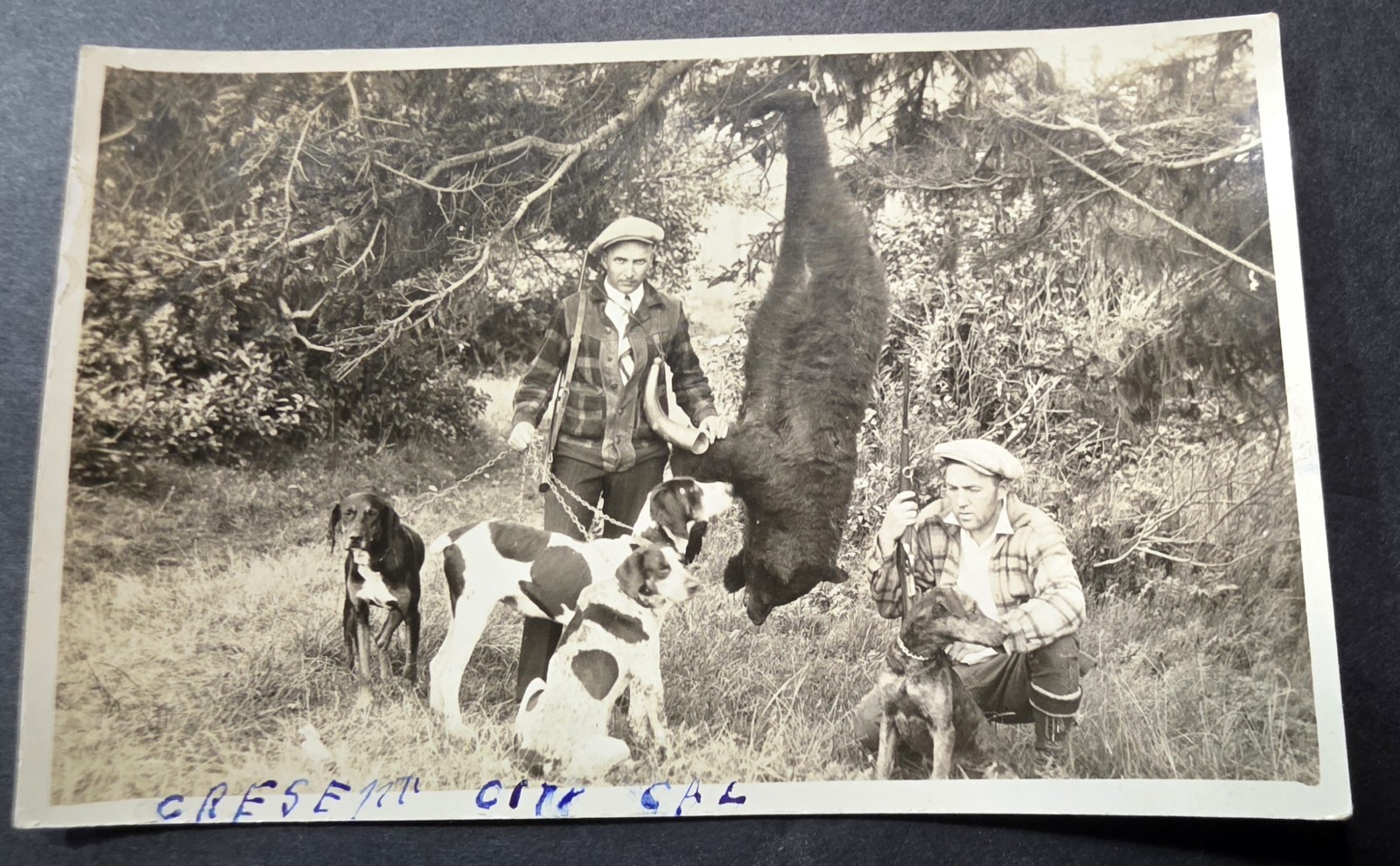 RPPC Bear Hunt w/ Dogs Crescent City CA c.1920s Real Photo Postcard