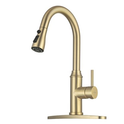 Gold Kitchen Faucet with Sprayer,Single Handle Kitchen Sink Faucet with Pull ...