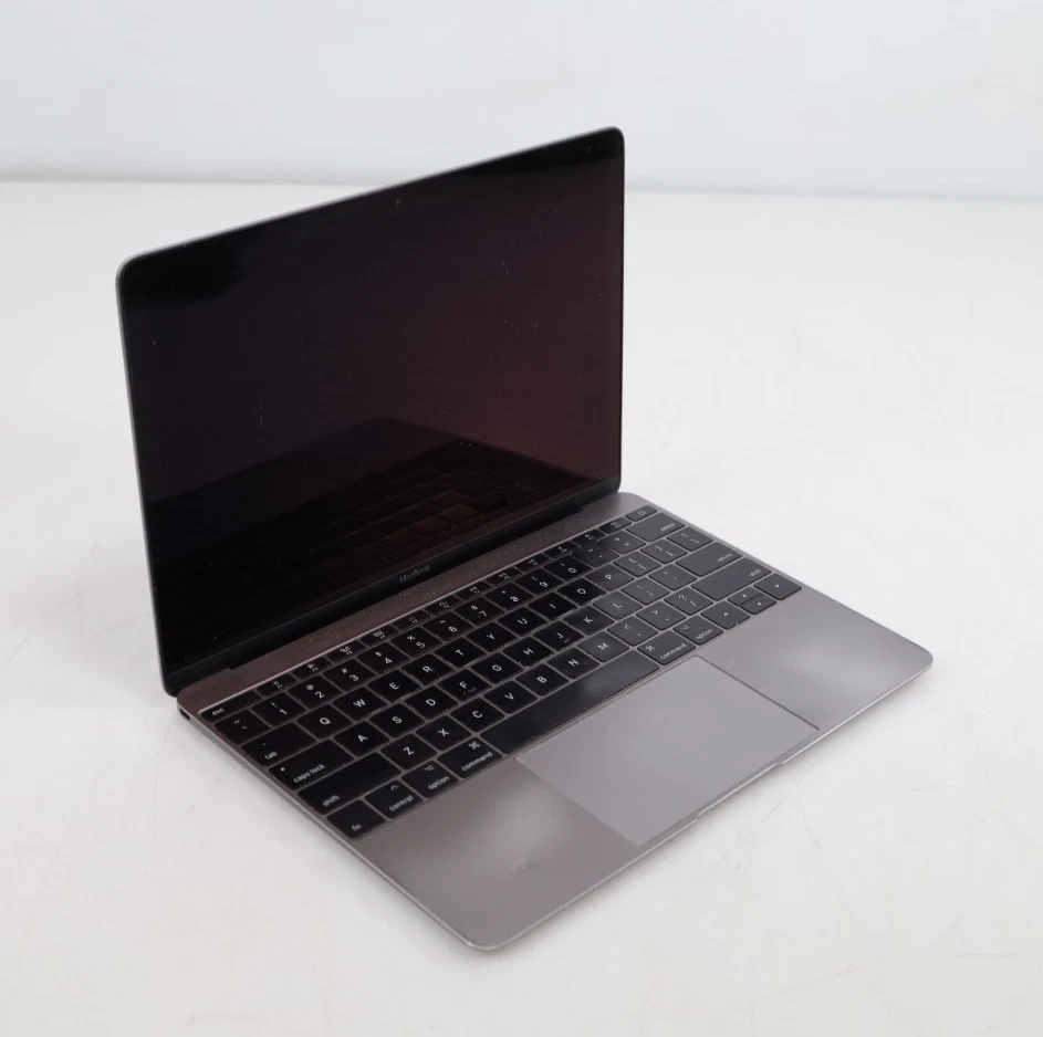 Apple MacBook 12-12.9 in Screen for sale - eBay
