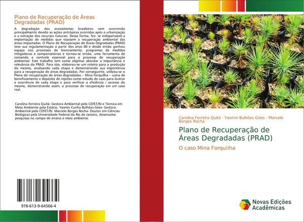 Plano De RecuperaçãO De ÁReas Degradadas (Prad) O Caso Mina Forquilha Buch 2018-image