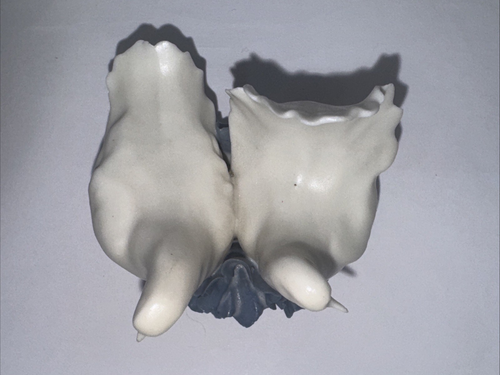 RARE Mid century Porcelain Dove Pair on Flower Figurine CP - Picture 6 of 11