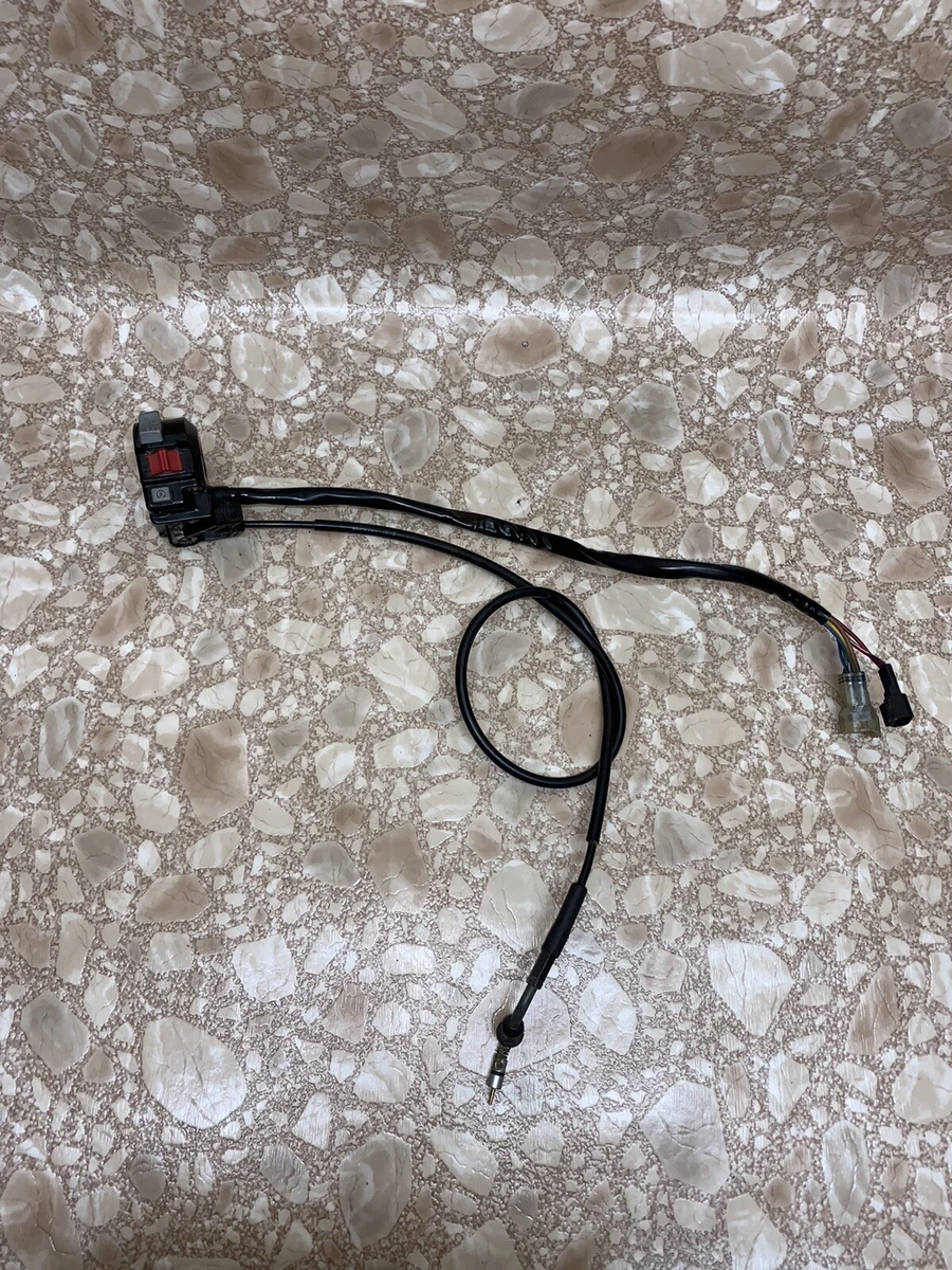 Raptor 660 Choke Cable