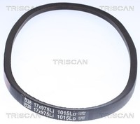 Triscan Keilriemen U.A. FüR Isuzu, Nissan