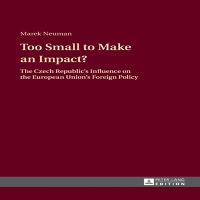 Too Small to Make an Impact? The Czech Republic's Influence on th