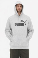 Puma Herren Hoody Kapuzenpullover Kapuzen Sweatshirt Sport Hoodie Hellgrau
