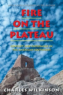 Fire on the Plateau : Conflict and Endurance in the American Sout