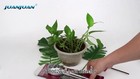 Video 1 von 1
