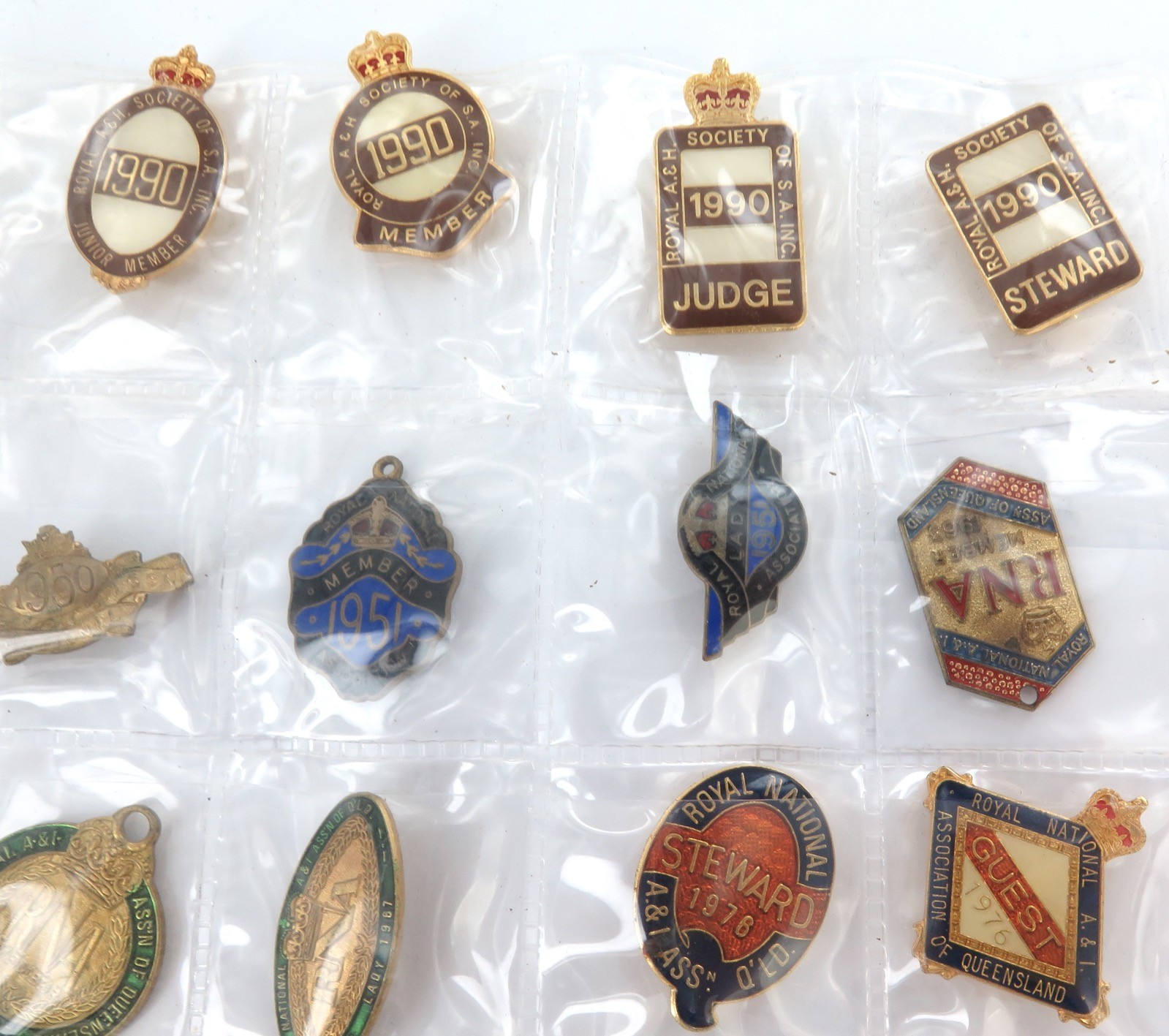 Superb Job Lot Brisbane EKKA / RNA Members, Guest, Judges, Steward Badges 