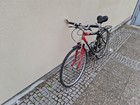 Bild 2 von 13