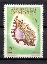 Stamp / Timbre  COMORES  1962  Y&T  N° 21 NEUF * avec trace de charnière (MLH)