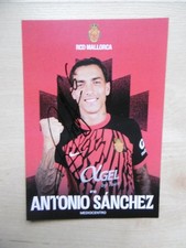 Antonio Sanchez autograph signed 10x15 cm postcard "RCD Mallorca 24/25"