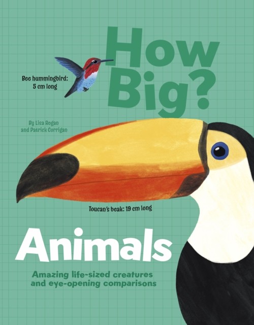 How Big Animals by Lisa Regan HARDBACK 9781398828575