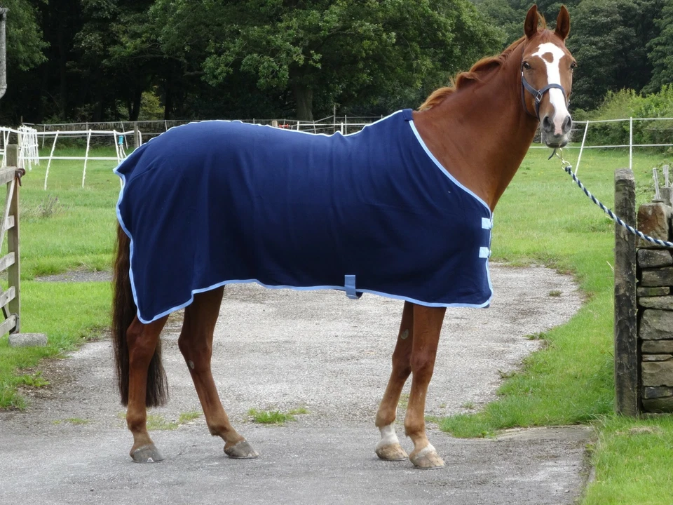 Stunning Navy show cover / travel fleece cooler stable pony horse rugs 4'9-7'0" - Image 3 of 4