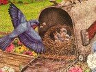 BITS AND PIECES PUZZLE “BLUEBIRDS NESTING IN THE MAILBOX” 1000 PIECES COMPLETE — photo 5