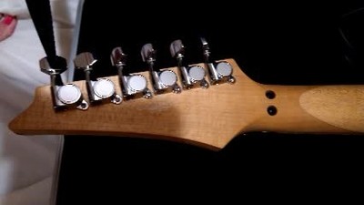 Unique Ibanez Steve Vai (JEM10th 10th Anniversary Collector's