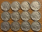 BUFFALO Nickel: Starter Set, 1923-1937: PDS Mints, G-VF, Lot of 12 Different