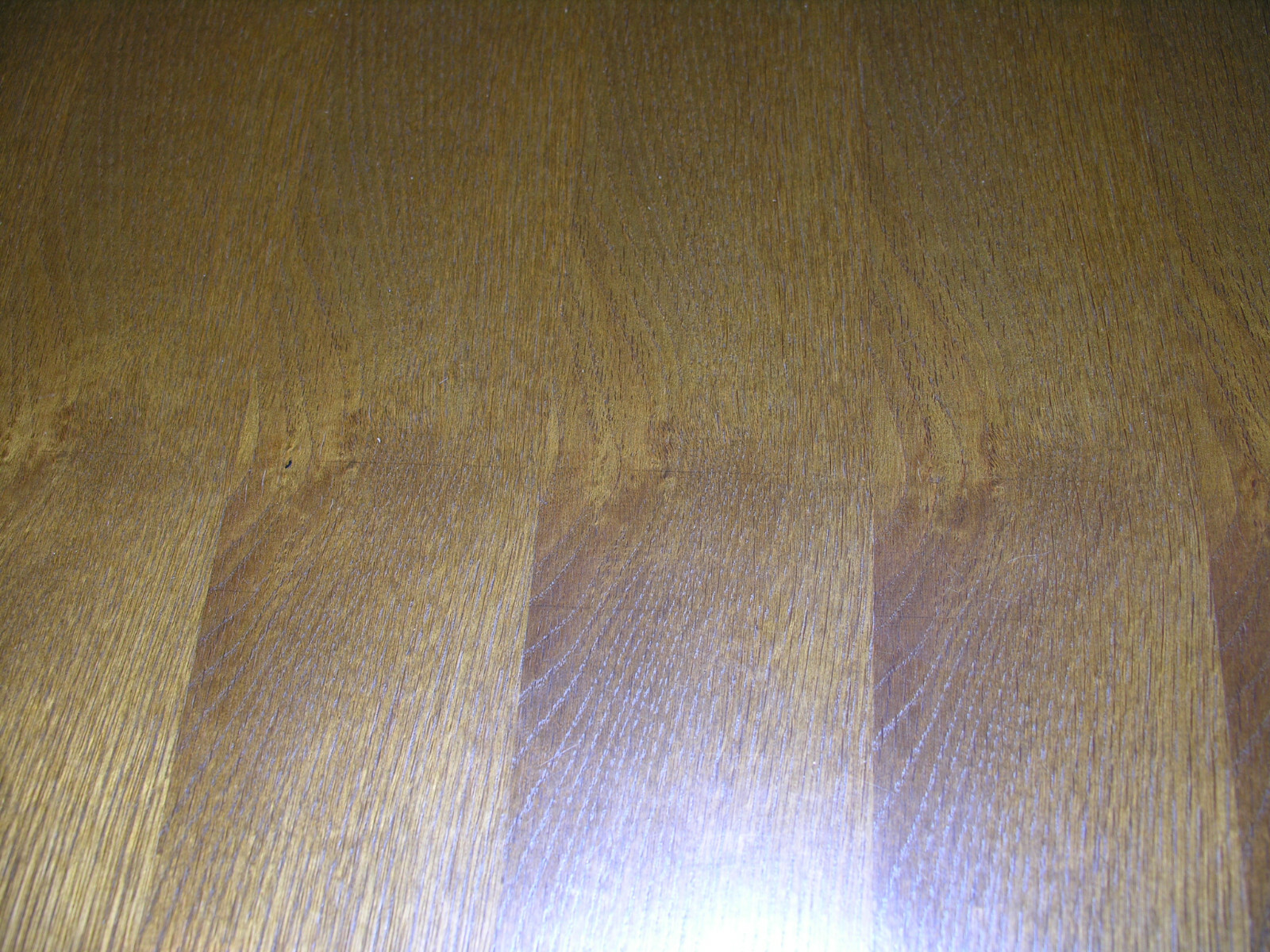 Bild 8 von 10