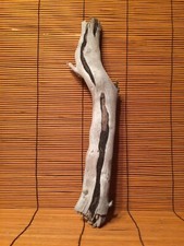 Beautiful 13  DRIFTWOOD Piece Terrarium Taxidermy Aquarium Art Reptile DECOR