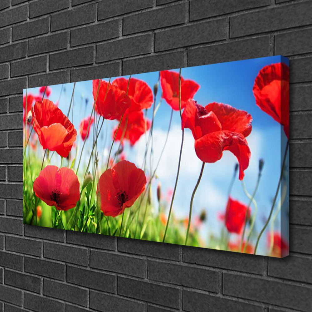 Tableau moderne coquelicots imprimé sur toile canvas haut de gamme 100x50
