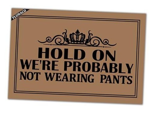 Welcome Doormat Funny Mat - We're Probably Not Wearing 23.6" x 15.7" Hold on