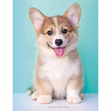 Carousel Worldwide, Puppies 2026 Engagement Diary Planner