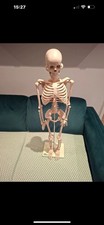 66fit Anatomical Skeleton Model - 85cm - Medical Educational Training Aid