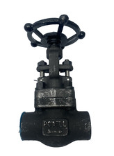 POWELL GL08TA58GB GLOBE VAVLE, SIZE 1" CLASS 800LB A105