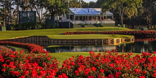 Affiche - Trou de parcours de golf TPC Sawgrass 17, 4 tailles - Imagekind - Photo 2 sur 21