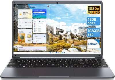 15.6 inch SGIN Laptop 1024GB SSD Intel Celeron N5095 up to 2.9GHz Notebook