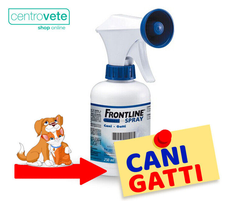 Foto 2 di 2