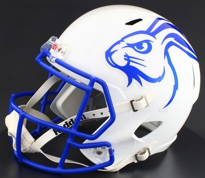 2020 nfl football helmets Kansas City Chiefs Helmet Riddell Authentic Full Size SpeedFlex Style field design Color:Titanium Ore Members_肖海满 Style Motorbikes Hoi An