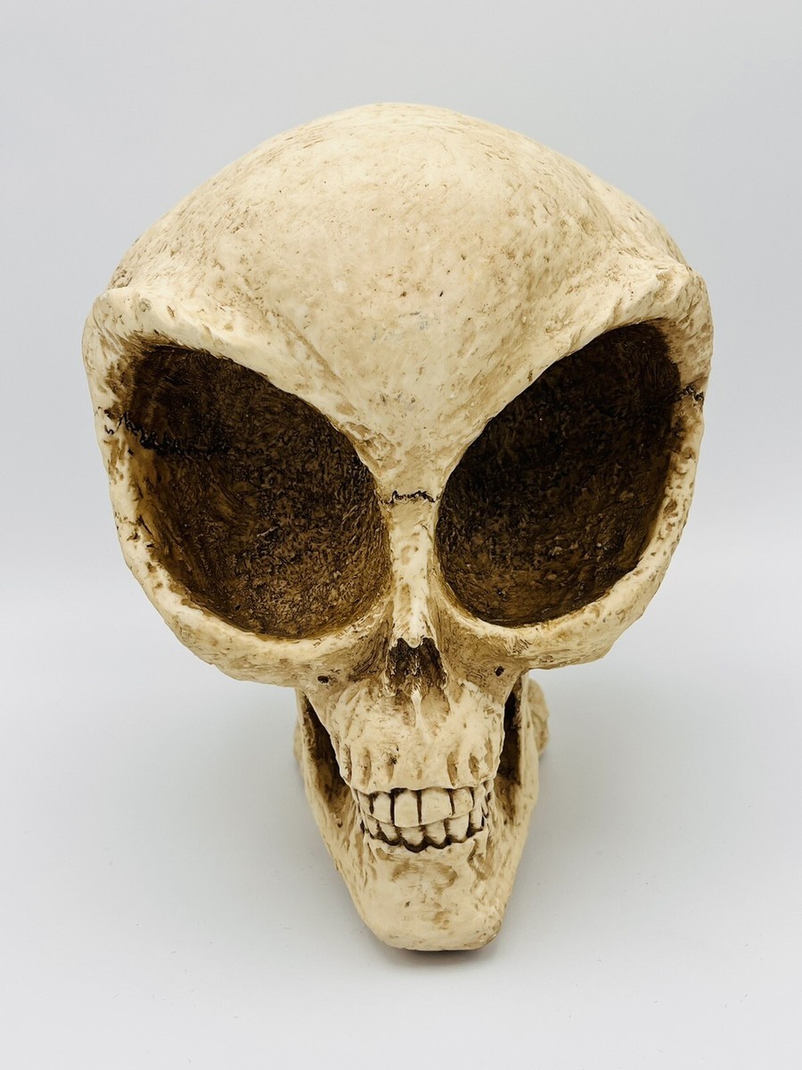 Apple - SKULL様 RETIRED 1998 ADAMS APPLE SUMMIT COLLECTION ALIEN SKULL 98WUI