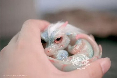 LEP Studio Naissance Series Loong:Cyan Flower GK Model Painted Artwork Toy New - Picture 10 of 13