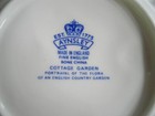 Foto 3 di 4
