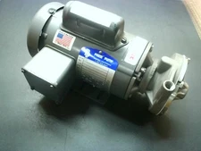 Price Pump LT25SS-334-21211-12-18-1T6 115/230V 1725RPM .13HP 42C Frame 60Hz 1...