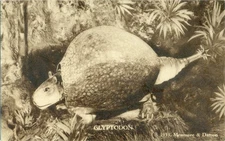 RARE 1933 COP "Glyptodon - Pleistocene , Chicago World's Fair " Postcard