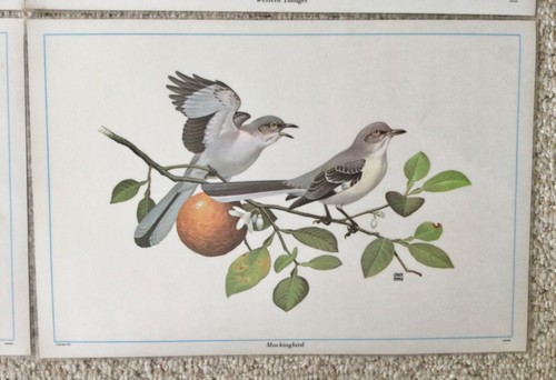 Set of 4 Vintage 1971 North American Bird Vinyl Placemats Artist Chuck Ripper - Picture 6 of 11