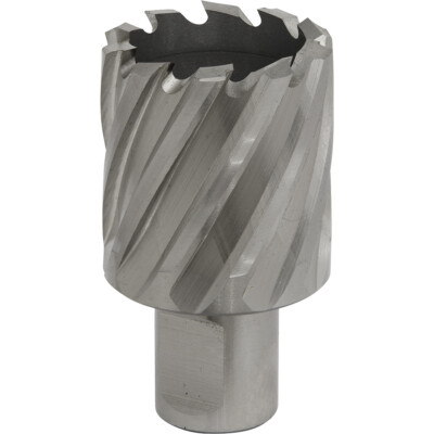 34 mm x 25 mm Tiefe Rotabor Fräser - M2 Stahl Ring Metall Kernbohrer 19 mm Schaft
